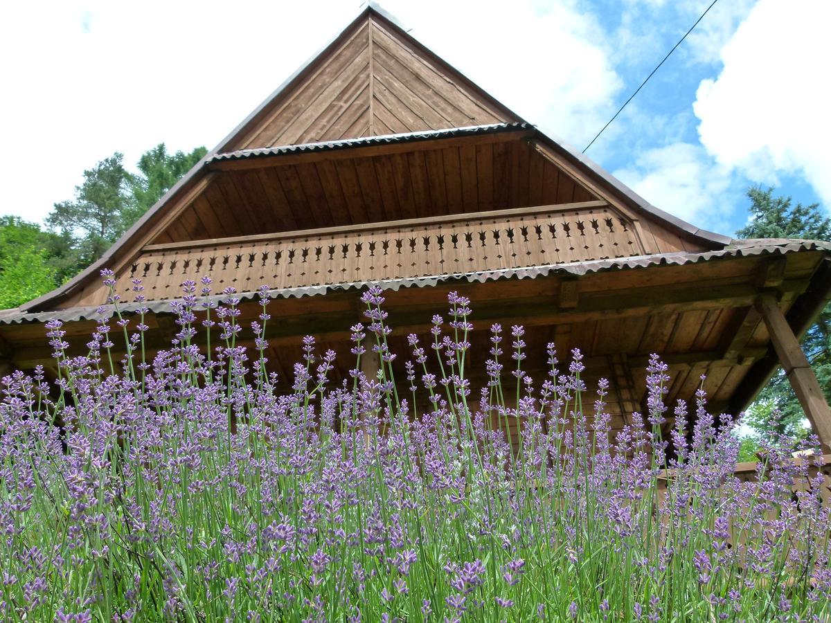 Drewniany Domek Bb Nad Rzeka Powrożnik Extérieur photo